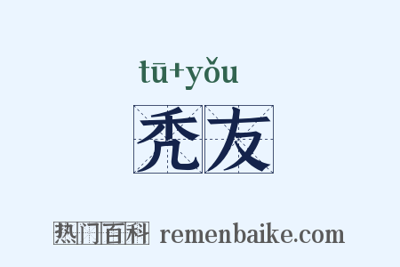 秃友是什么意思的图片